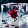 scotsman-ice-cube